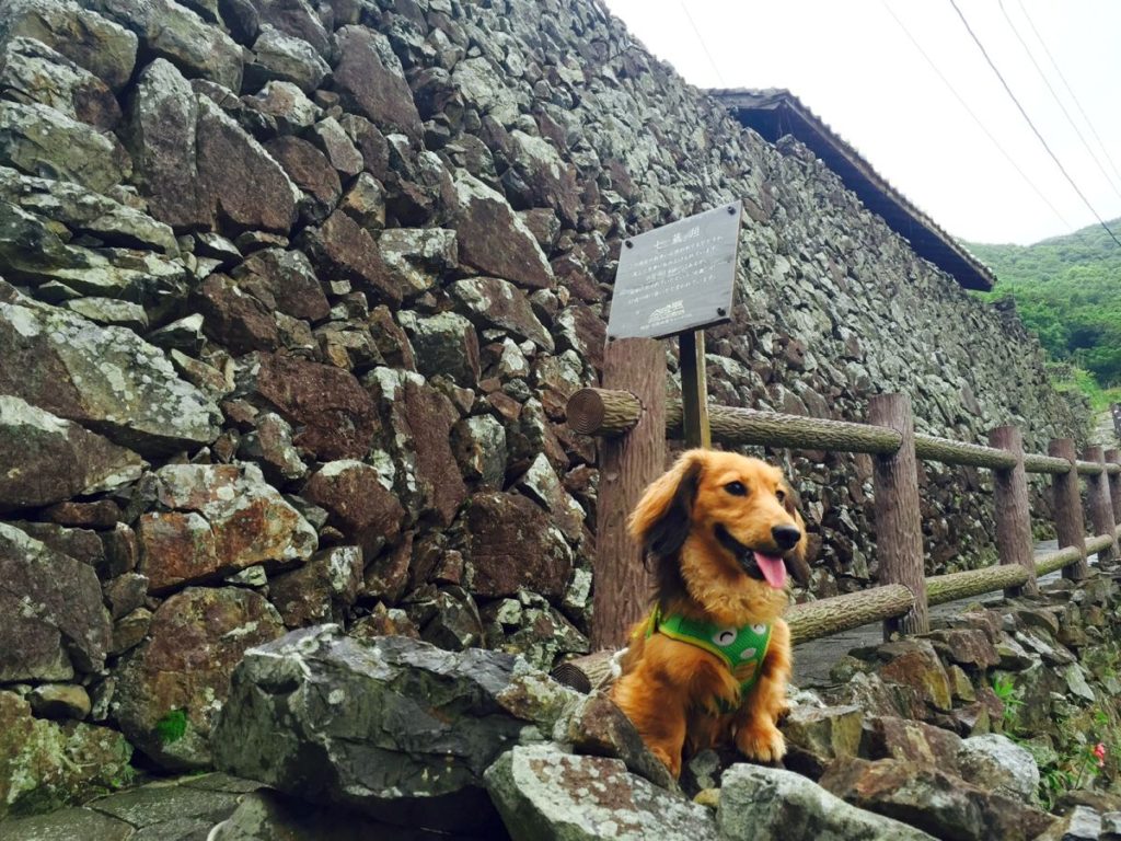 漁村の原風景が残る石垣の里おさんぽ・前編 | そらうみ旅犬ものがたり